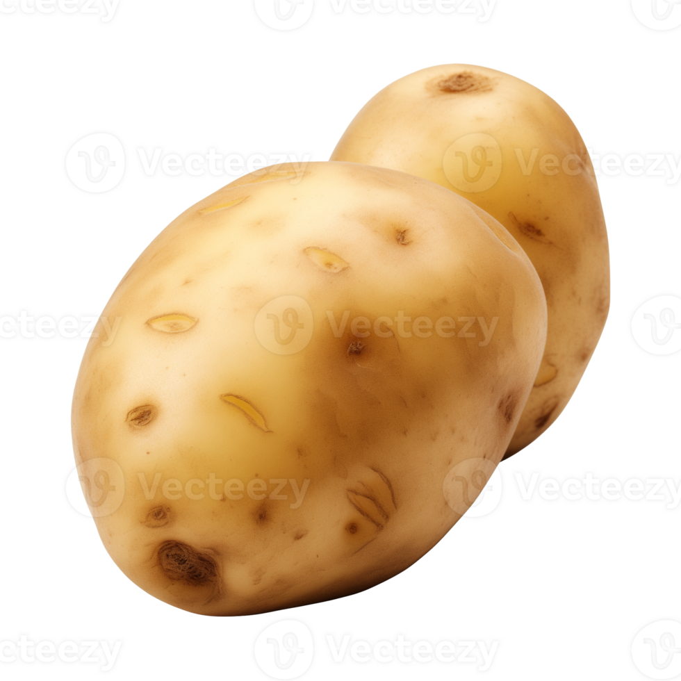 AI generated fresh raw potato vegetable isolated on a transparent background, PNG
