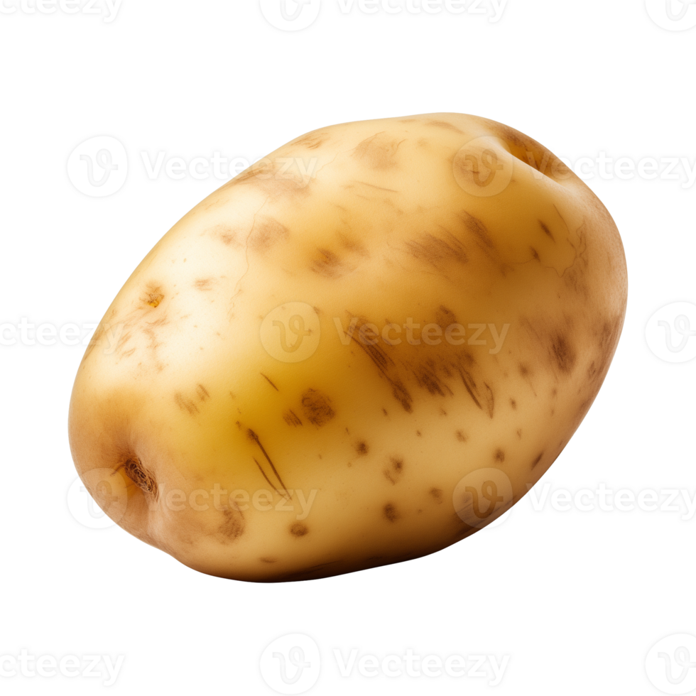 AI generated fresh raw potato vegetable isolated on a transparent background, PNG