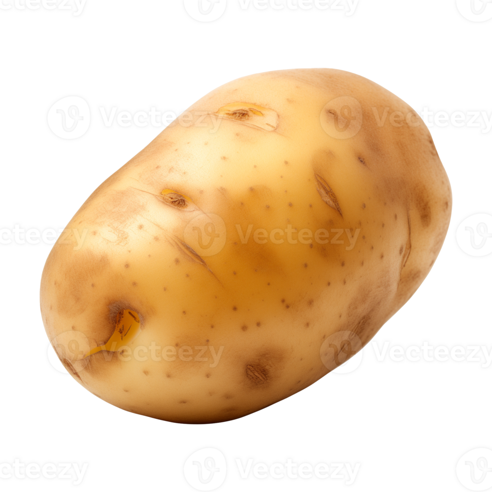 AI generated fresh raw potato vegetable isolated on a transparent background, PNG