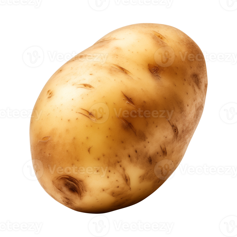 AI generated fresh raw potato vegetable isolated on a transparent background, PNG