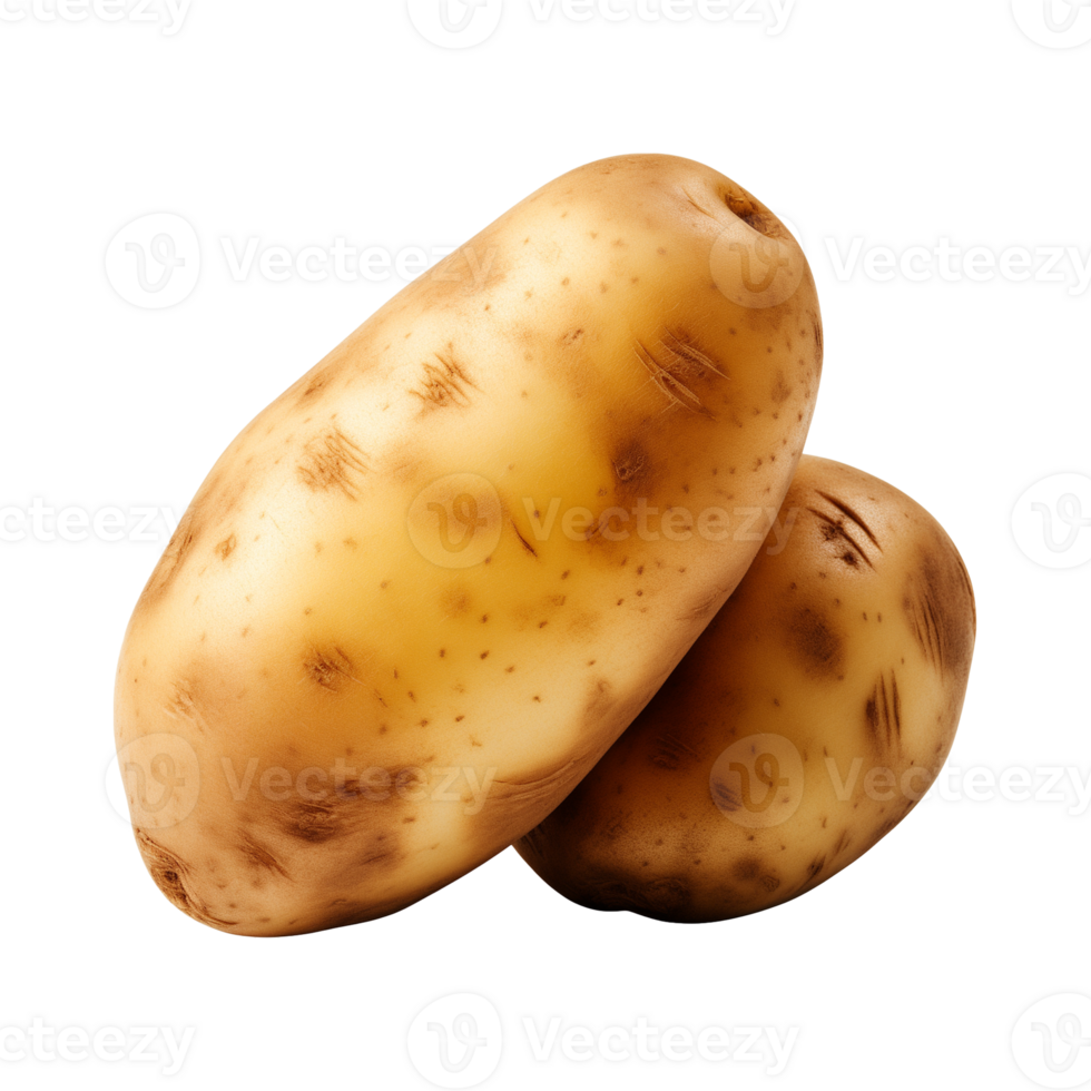 AI generated fresh raw potato vegetable isolated on a transparent background, PNG