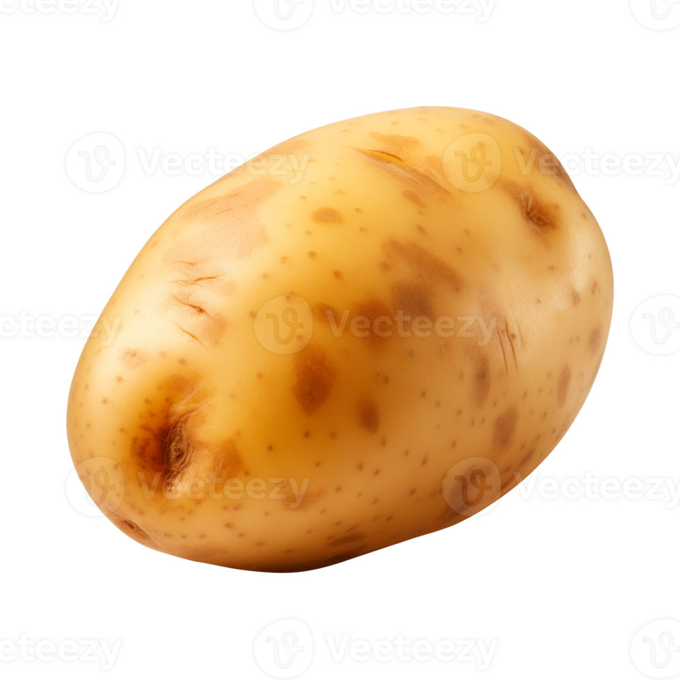 AI generated fresh raw potato vegetable isolated on a transparent background, PNG