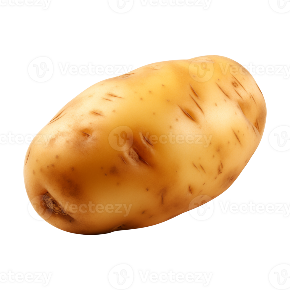 AI generated fresh raw potato vegetable isolated on a transparent background, PNG
