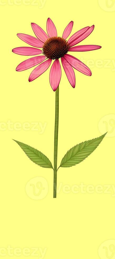 AI generated Illustration of Echinacea purpurea generative ai. A classic North American prairie plant with showy large flowers. photo