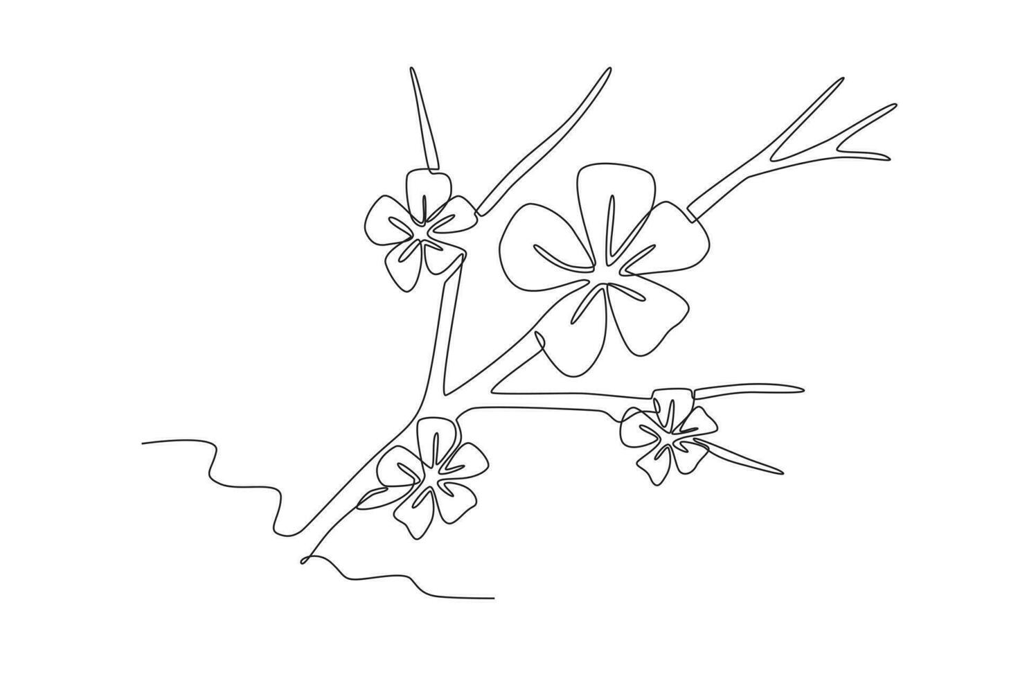 Beautiful cherry blossoms vector