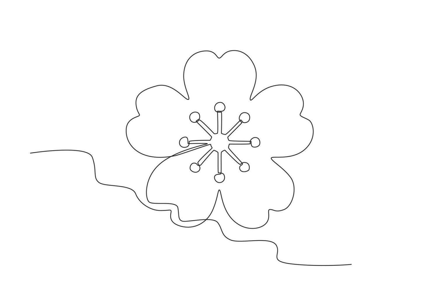Beautiful cherry blossoms up close vector