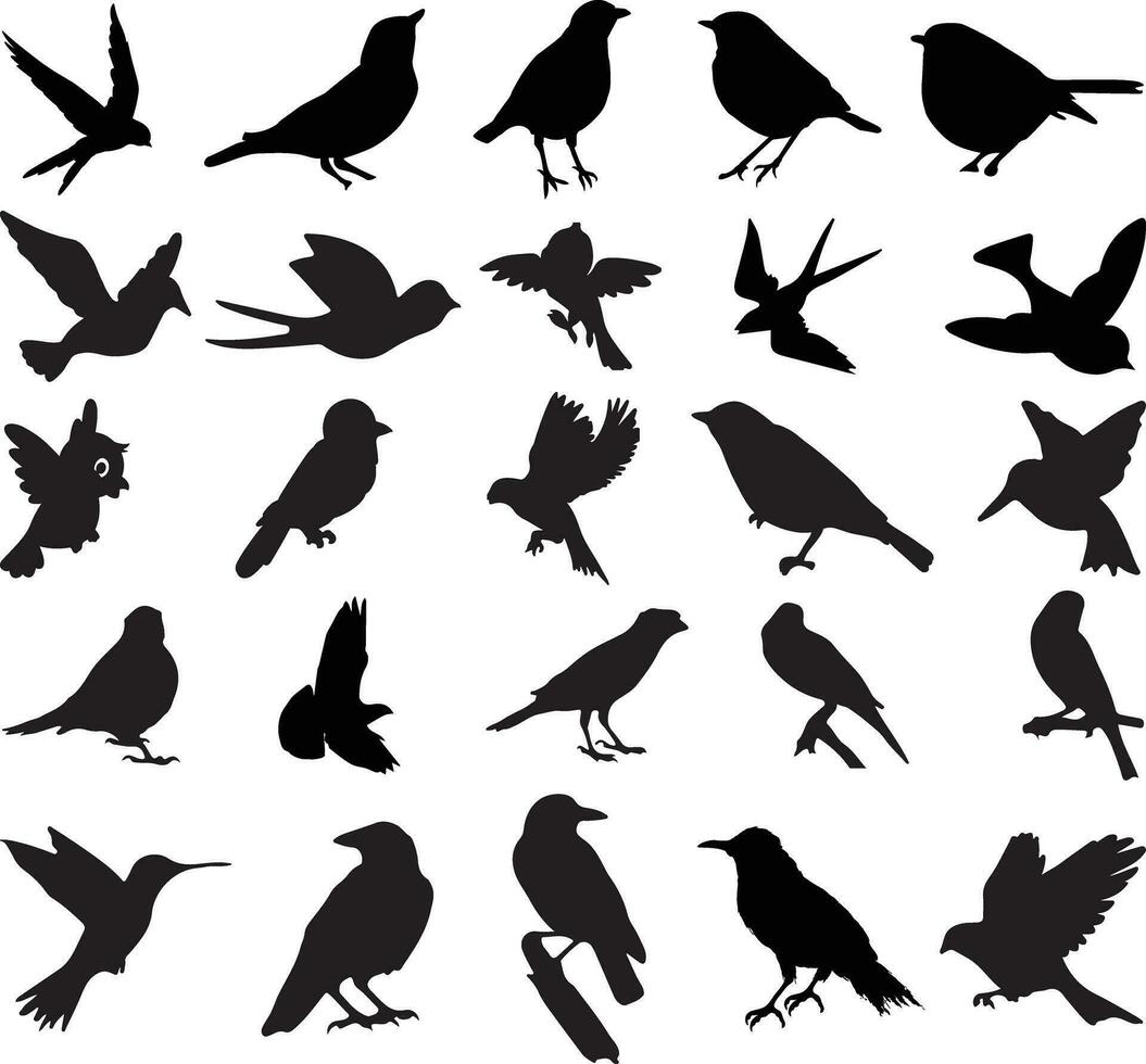 pájaro, ilustración, silueta, vector, aislado, animal, negro, diseño, vector