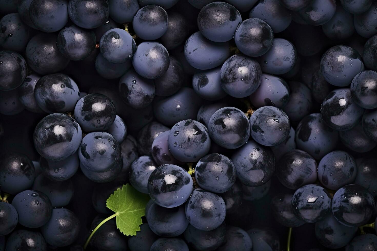 AI generated Flat lay background of vines, lots of organic blue dark grapes. AI Generated photo