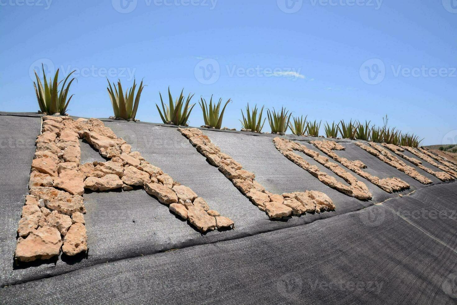 aloe vera sign spelled out in rocks photo