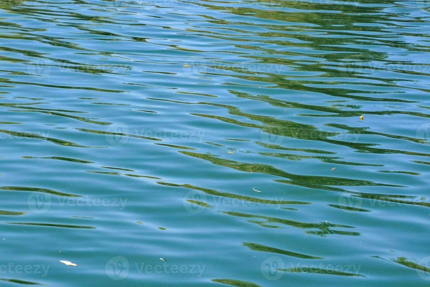 a large body of water with small waves photo