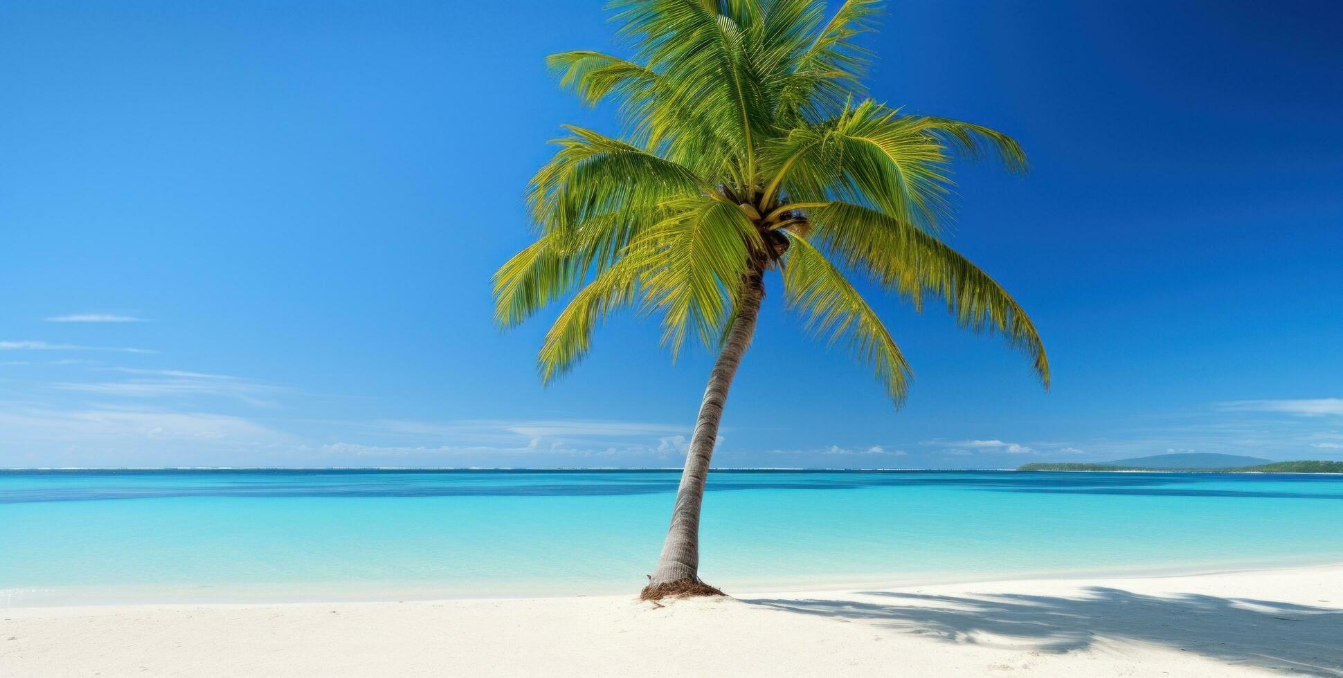 AI generated an image of a palm tree on a white sandy beach photo