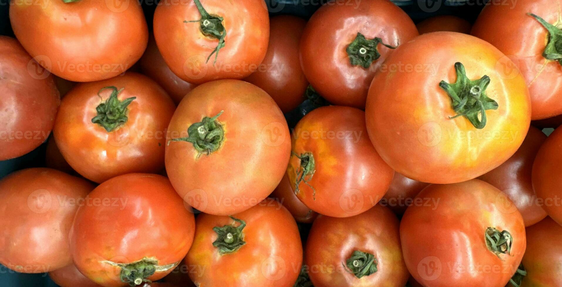 Group of tomatoes lying on a pile on top of each other, tomato texture. Selective focus, for content creation photo