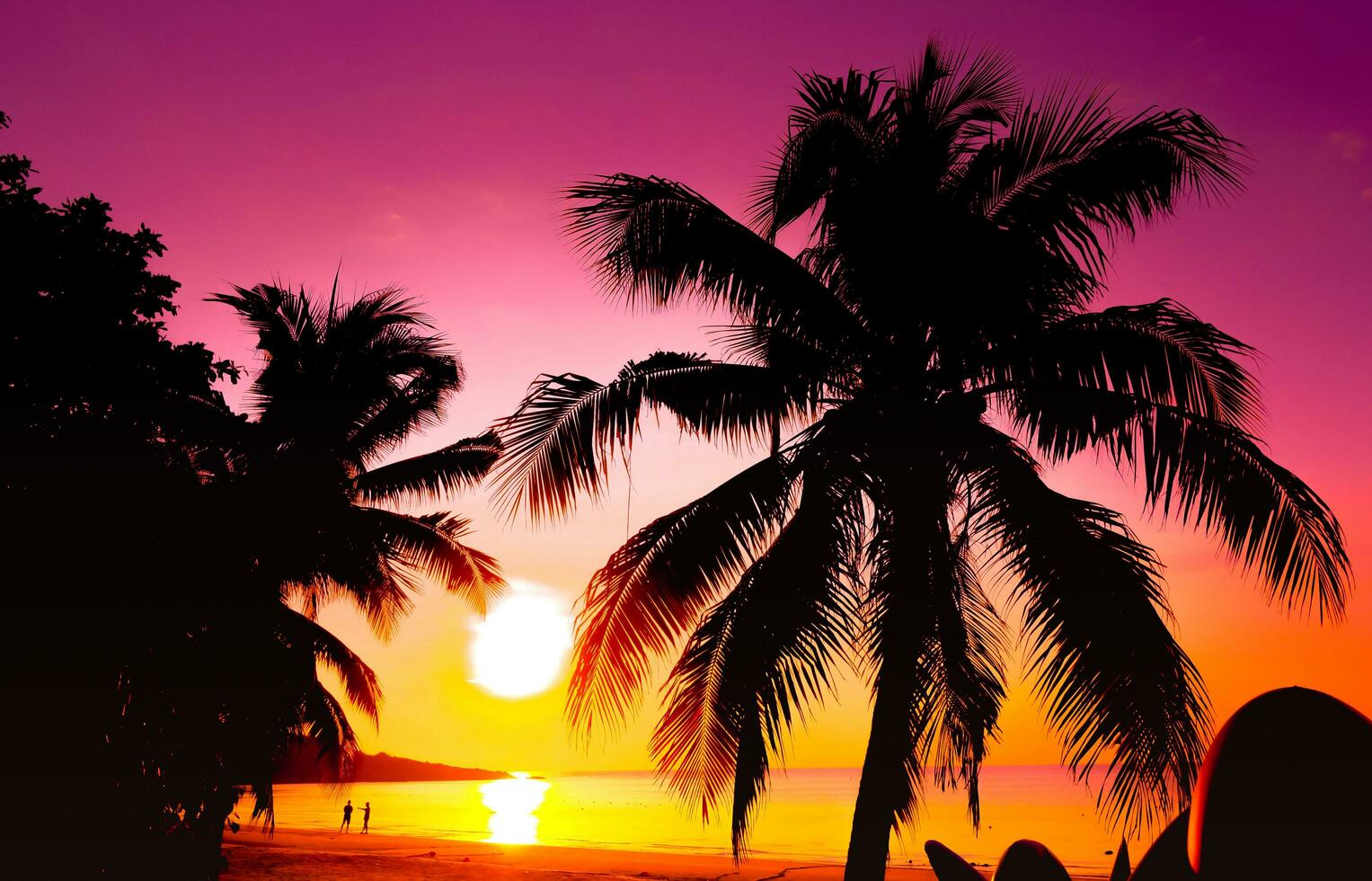 Silhouette of beautiful sunset on the sea beach with palm tree for travel in holiday relax time as summer photo