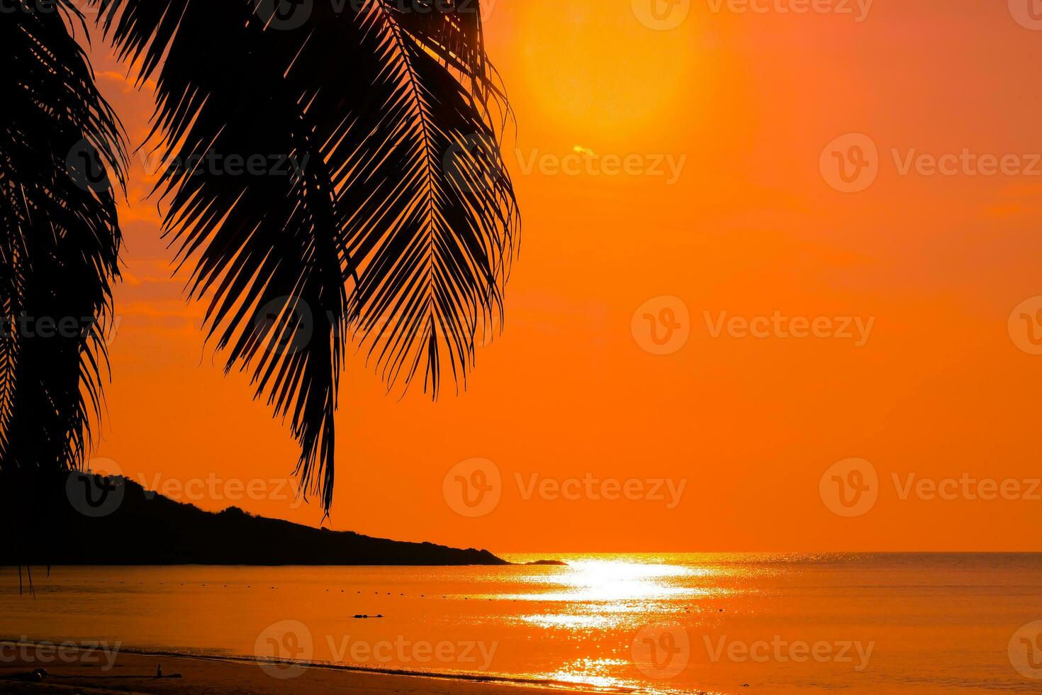 Silhouette of beautiful sunset on the sea beach with palm tree for travel in holiday relax time as summer photo