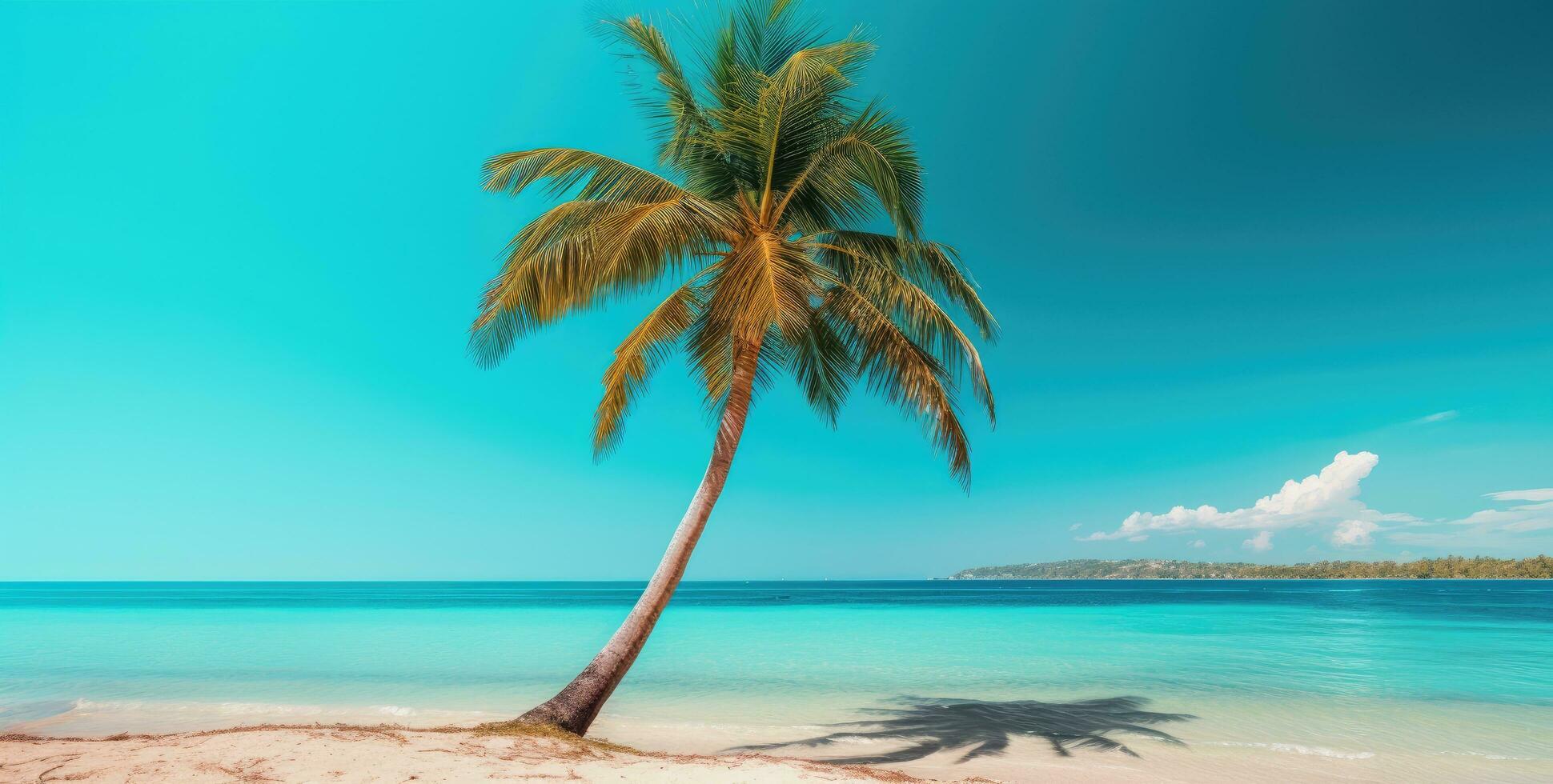 AI generated a palm tree at the beach beach photo