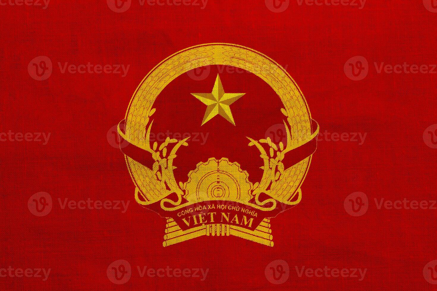 Flag and coat of arms of Socialist Republic of Vietnam on a textured background. Concept collage. photo