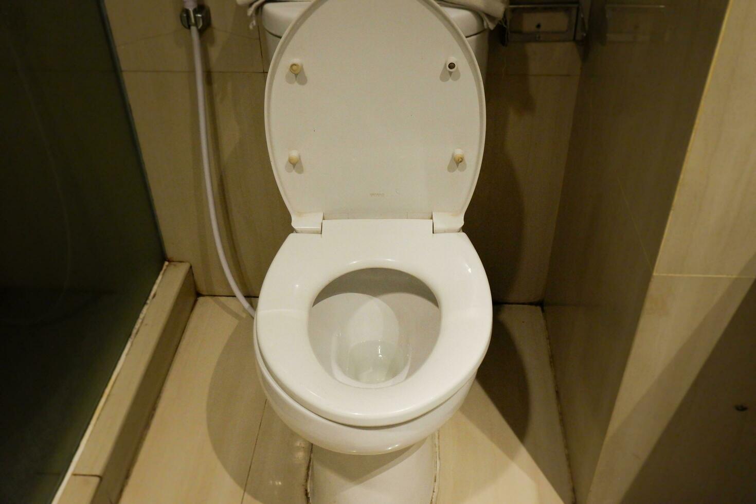 a sitting toilet in the bathroom that is often used for defecation photo