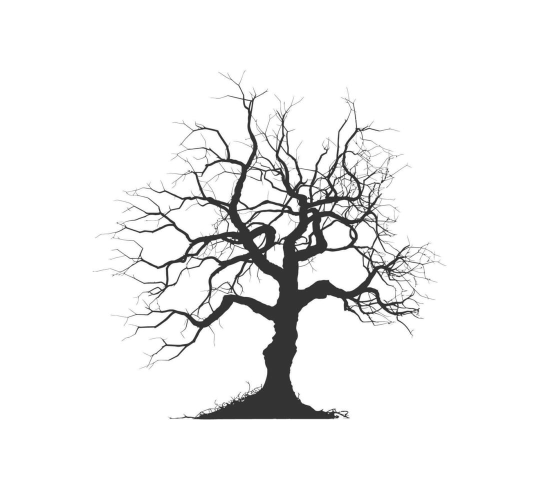 Silhouette Bonsai tree branches structure shaping. Vector illustration design.