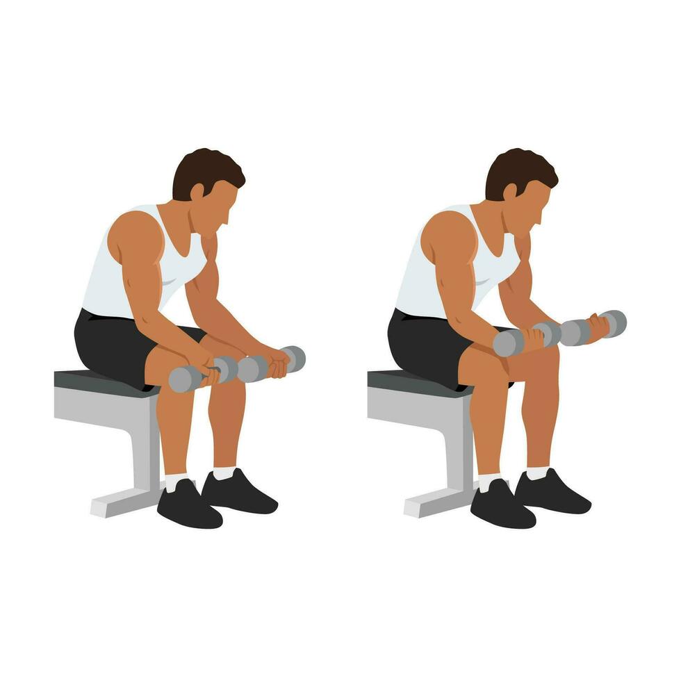 Man doing seated dumbbell palm up wrist curls or forearm curls vector