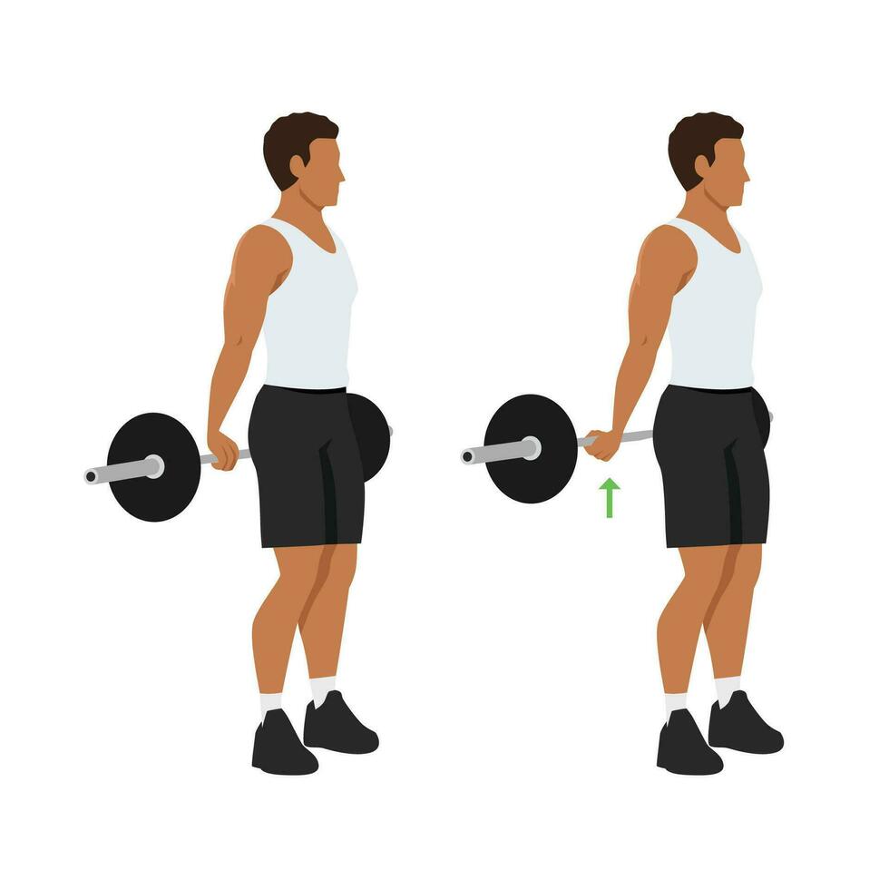 Man doing Behind the back standing wrist curls exercise. vector