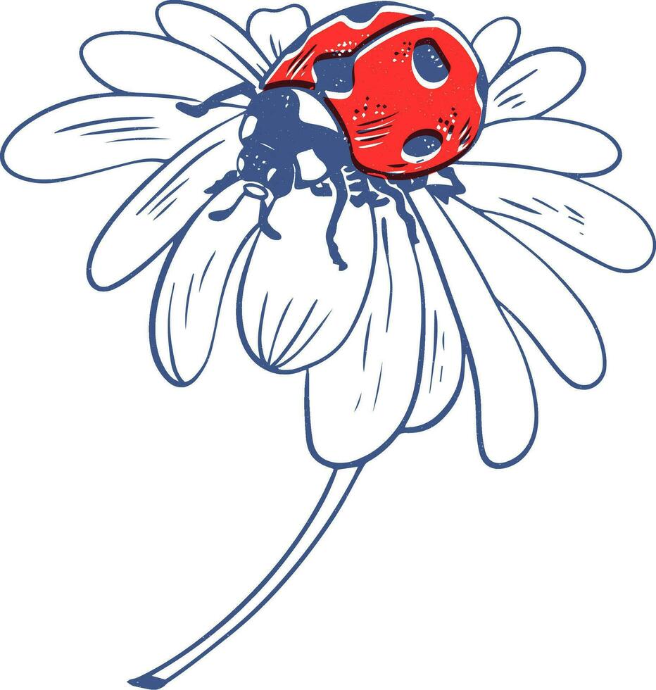Vector risograph effect style red ladybug on daisy flower illustration black lineart isolated on white background