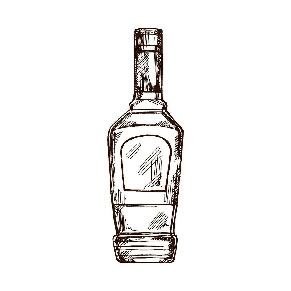 dibujado a mano botella de tequila. diseño elemento para el menú de barras y restaurantes, alcohol historias. vector bosquejo ilustración en grabado estilo. mexicano, latín America.