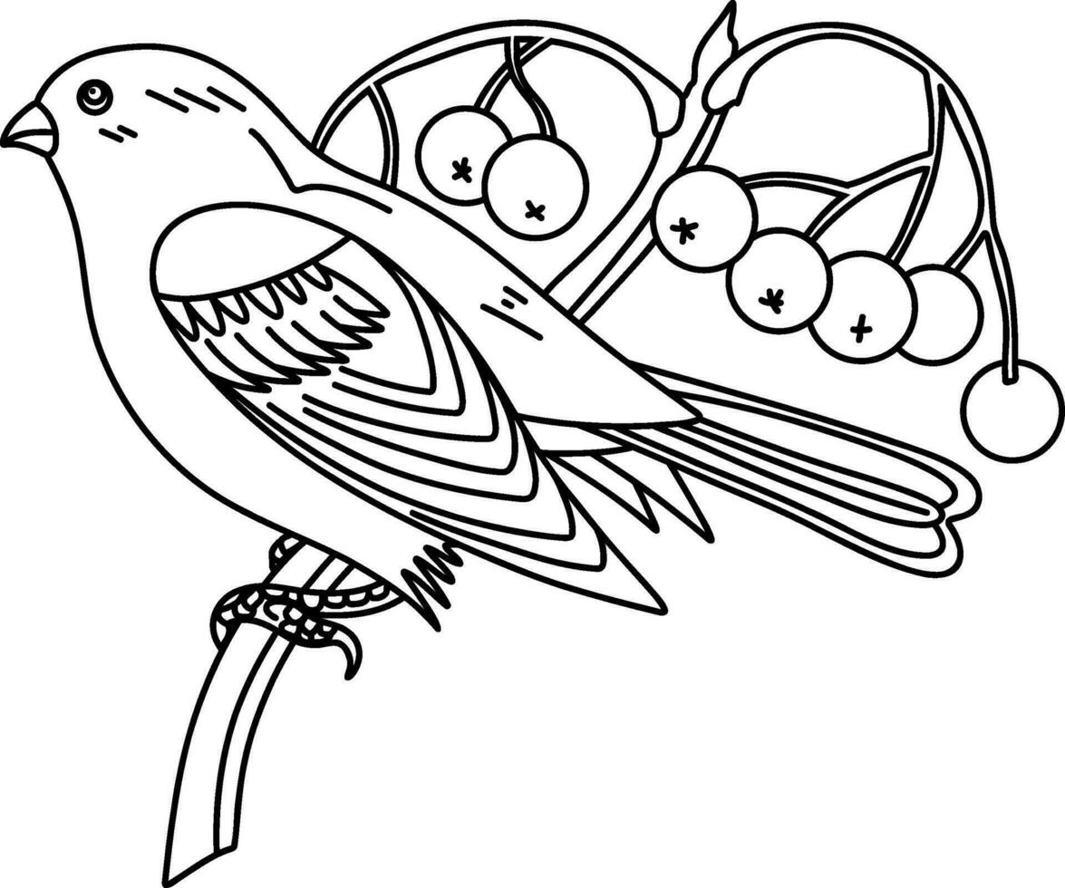 Bullfinch bird on a branch with rowan, line art, illustration for coloring book. vector