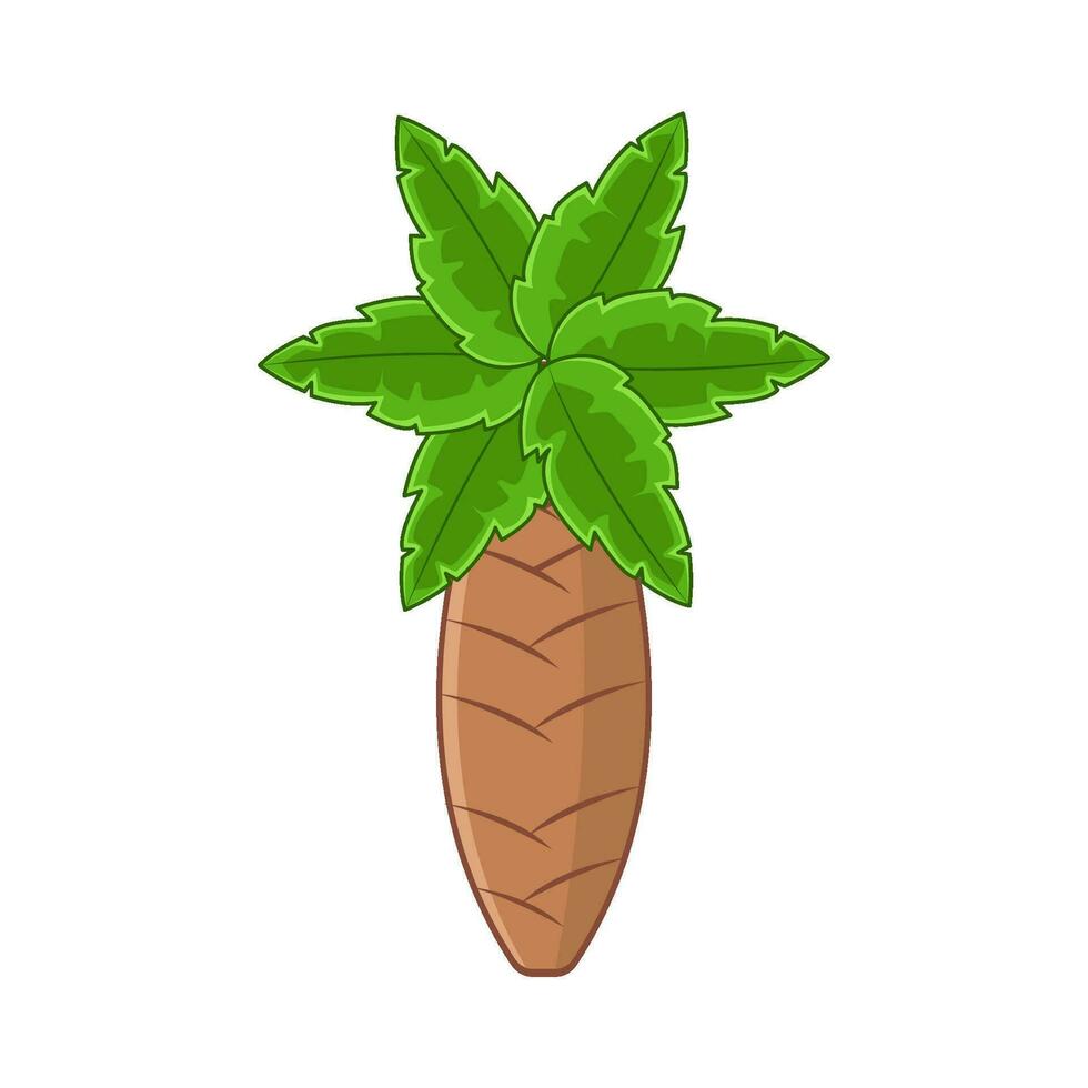 palm tree illustration vector