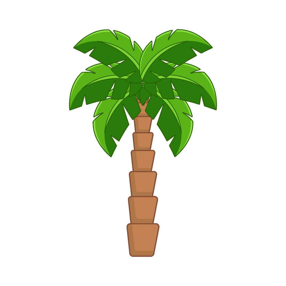 palm tree illustration vector