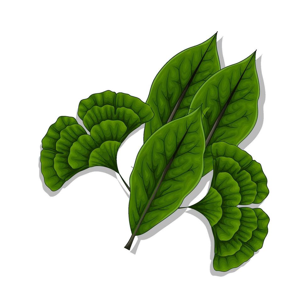 leaf green illustration vector