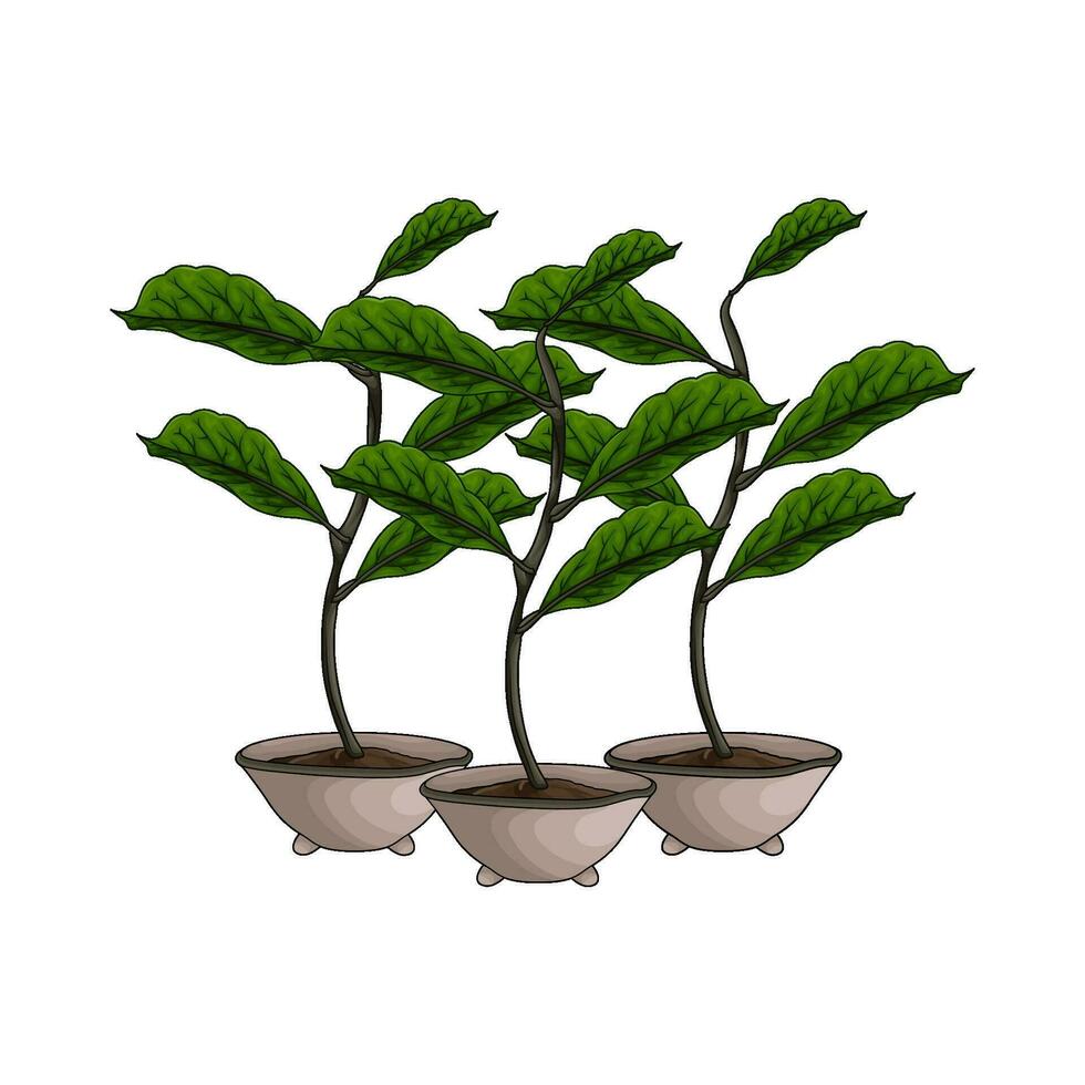 plant in pot illustration vector