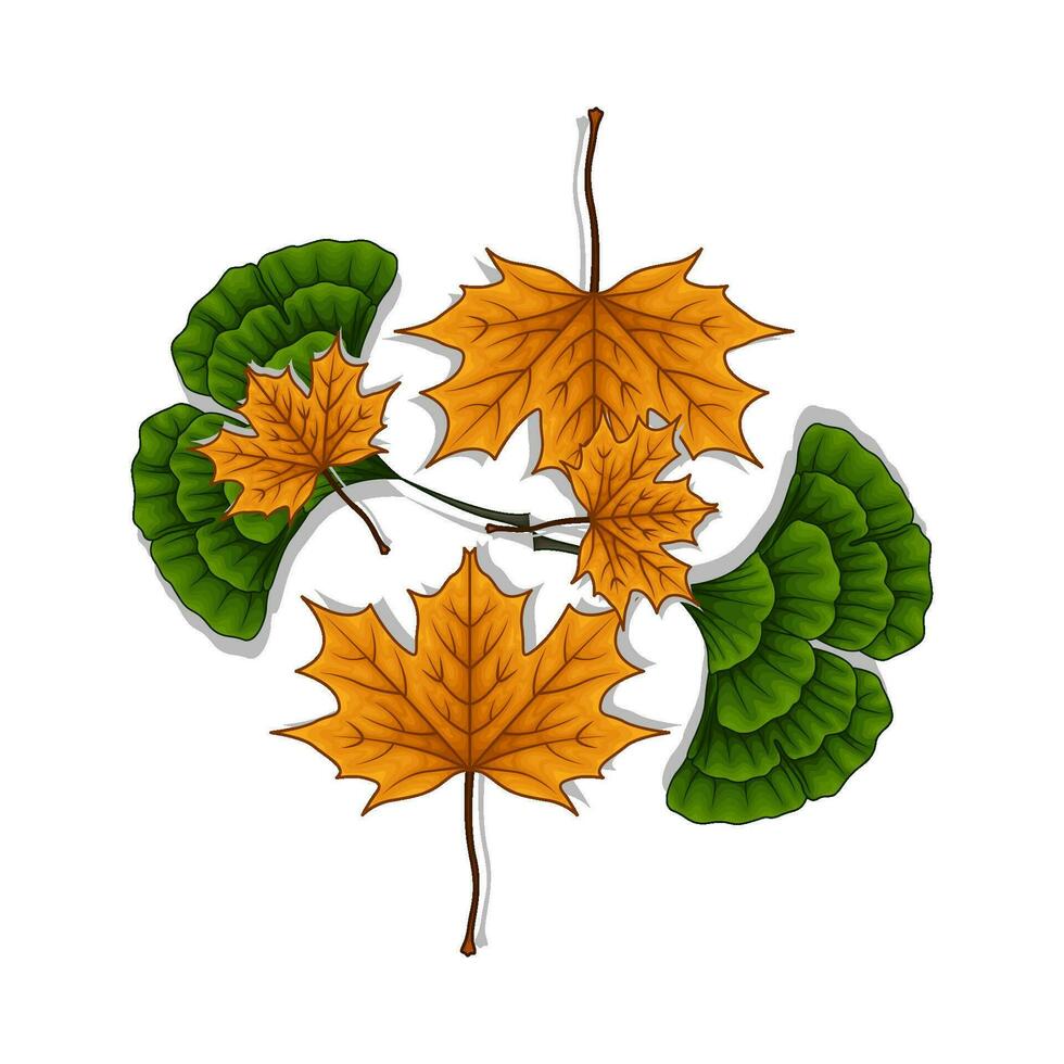 leaf green with maple leaf illustration vector