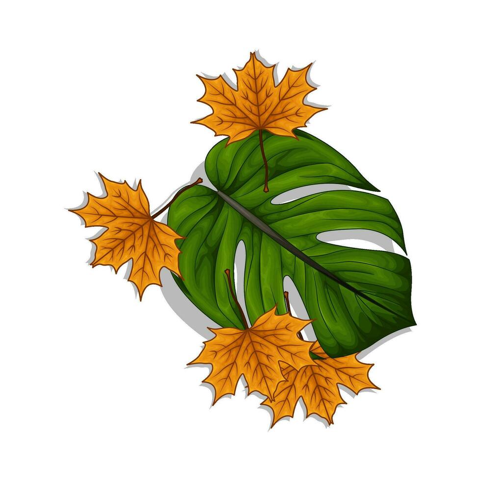 leaf green with maple leaf illustration vector