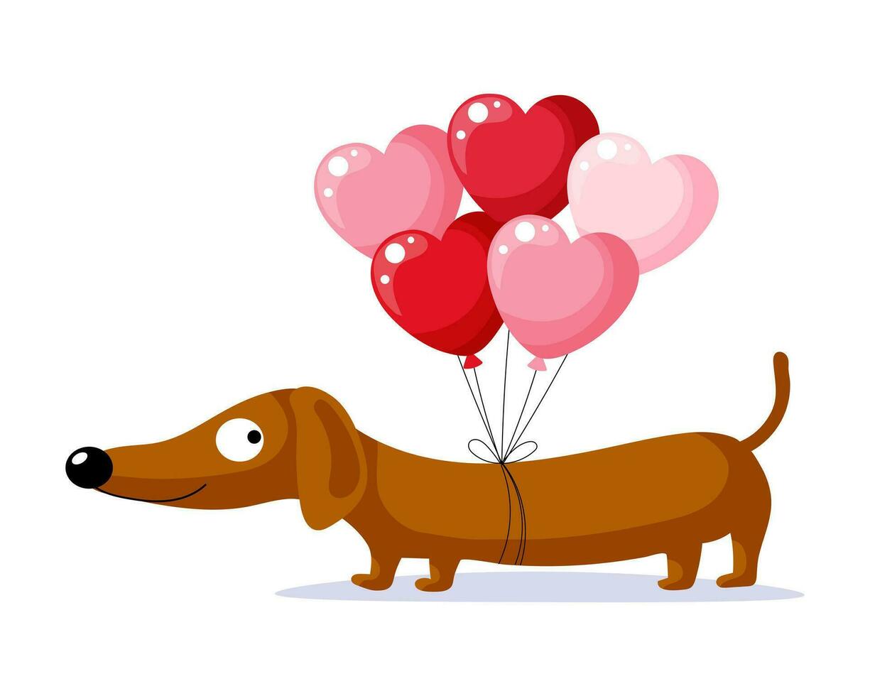 Cute dog dachshund character with heart shaped balloons. Birthday card. Cartoon style, vector