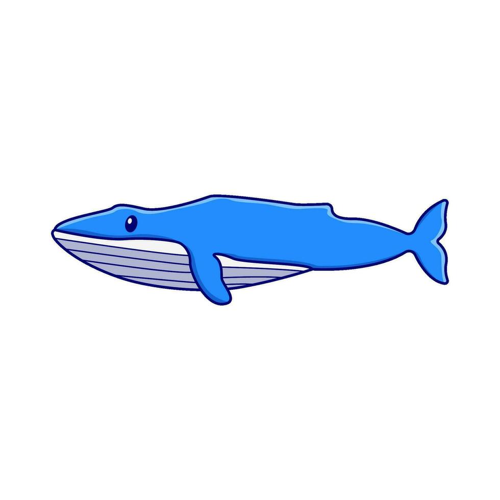 whale fish  illustration vector