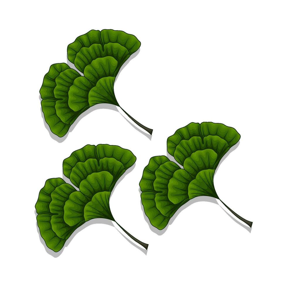 leaf green illustration vector