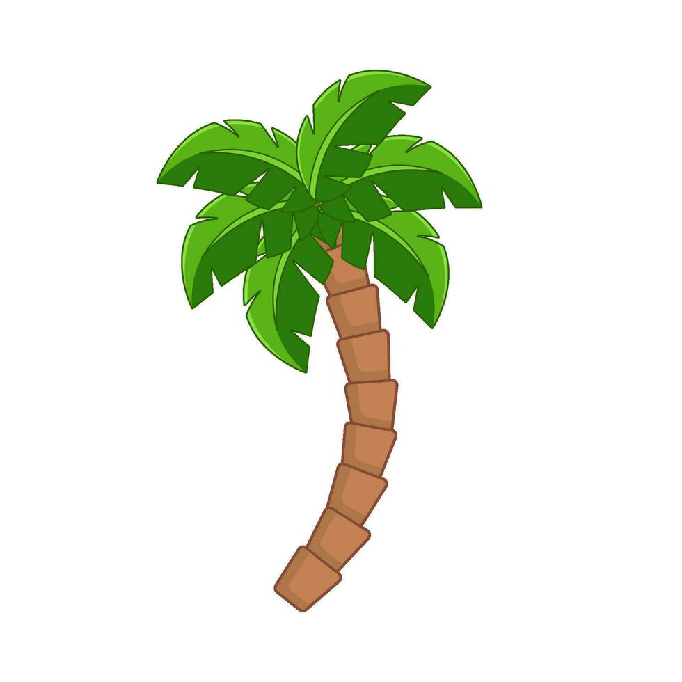 palm tree illustration vector