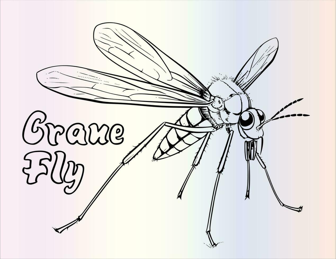 Crane Fly Coloring Page for Kids vector