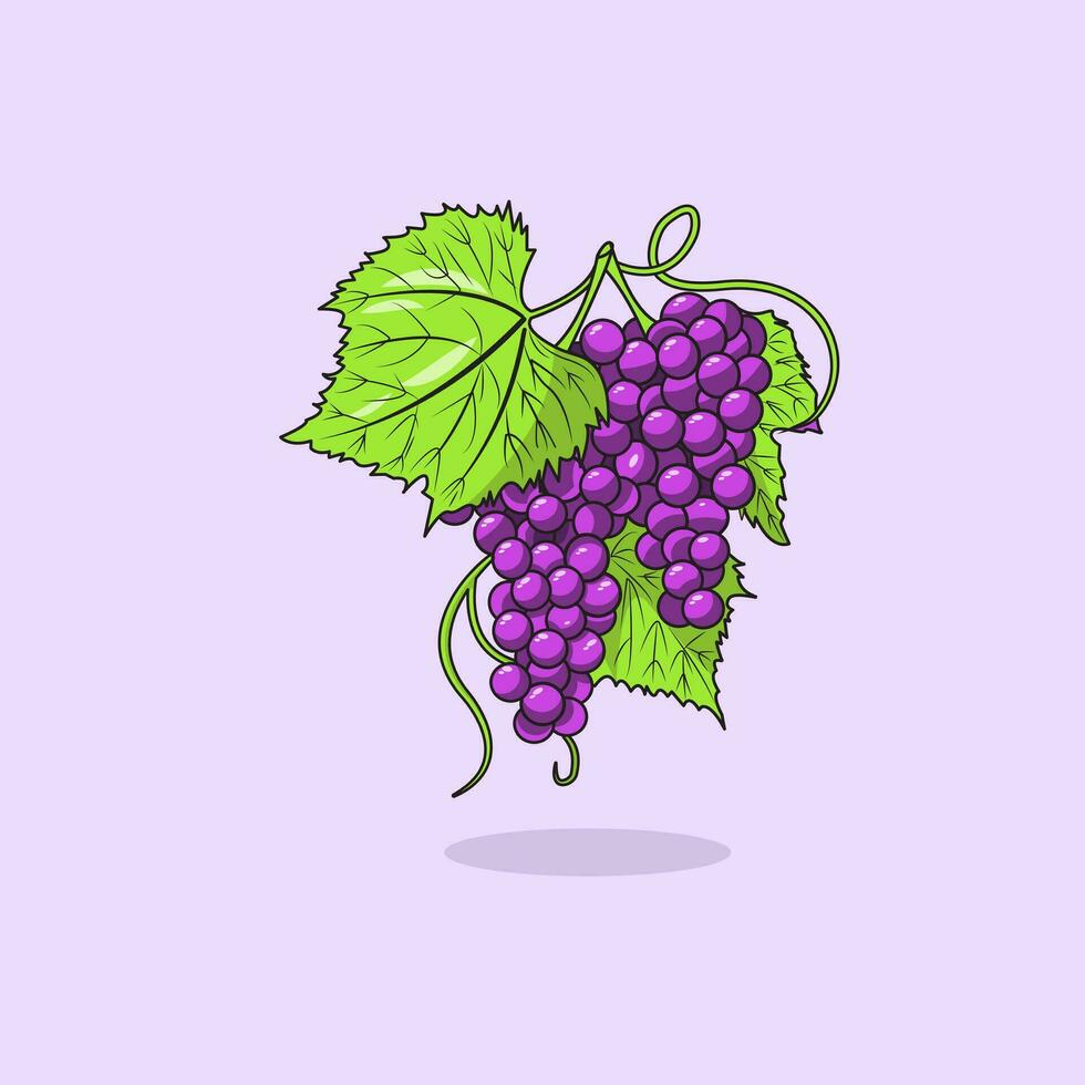 vector ilustración de uva Fruta púrpura dibujos animados