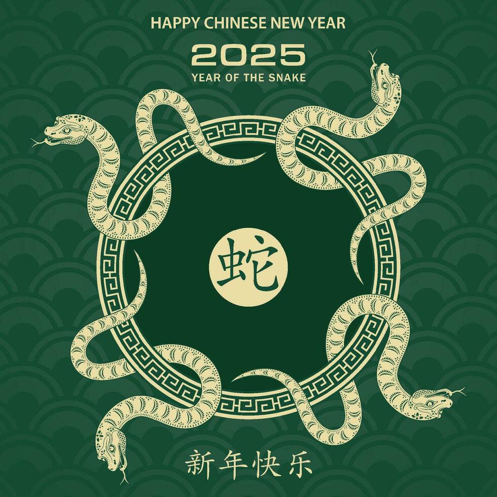 Happy Chinese new year 2025 Zodiac sign, year of the Snake vector