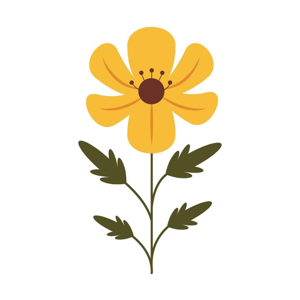 Single yellow field flower isolated.  Minimalistic flat style. Wild plant with yellow flower, stem and leaves. vector