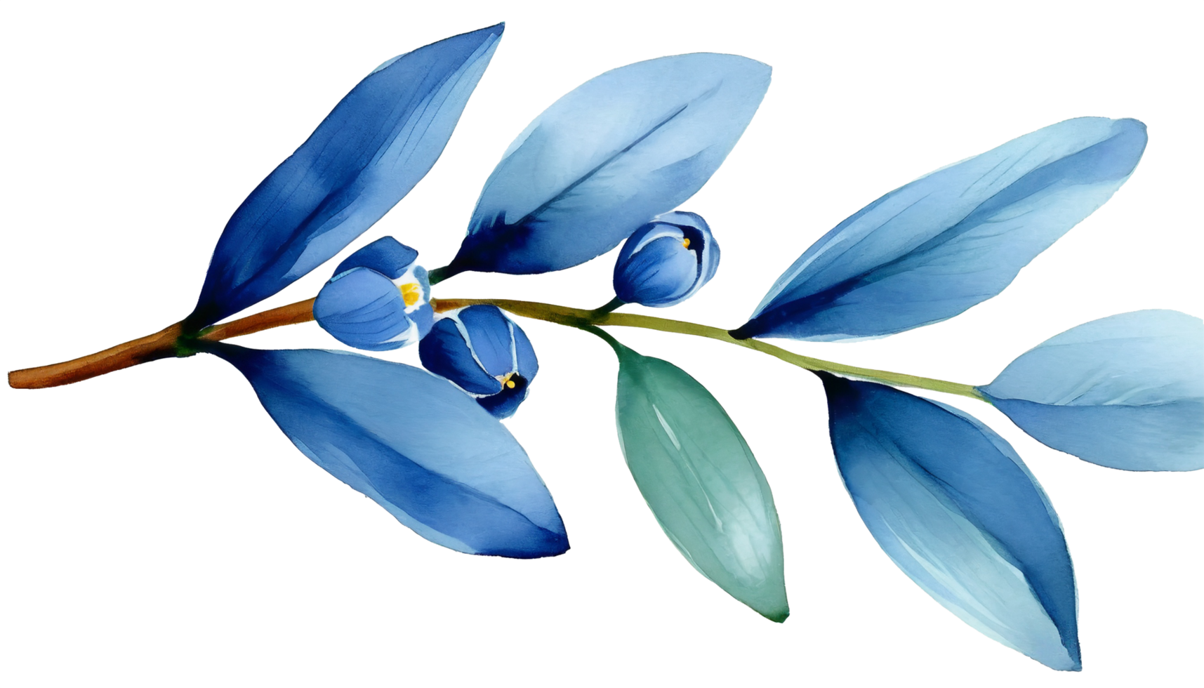 ai gegenereerd waterverf blauw Afdeling bladeren bloemen fabriek Woud kruiden geïsoleerd Aan wit achtergrond. botanisch voorjaar zomer blad illustratie voor bruiloft uitnodiging kaart, kader en lauwerkrans. png