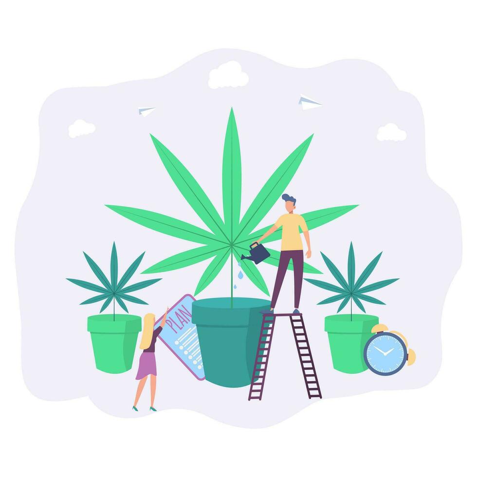 Little people grow cannabis in pots. Growing hemp for medical purposes, a medicine from cannabis. Colorful vector illustration.