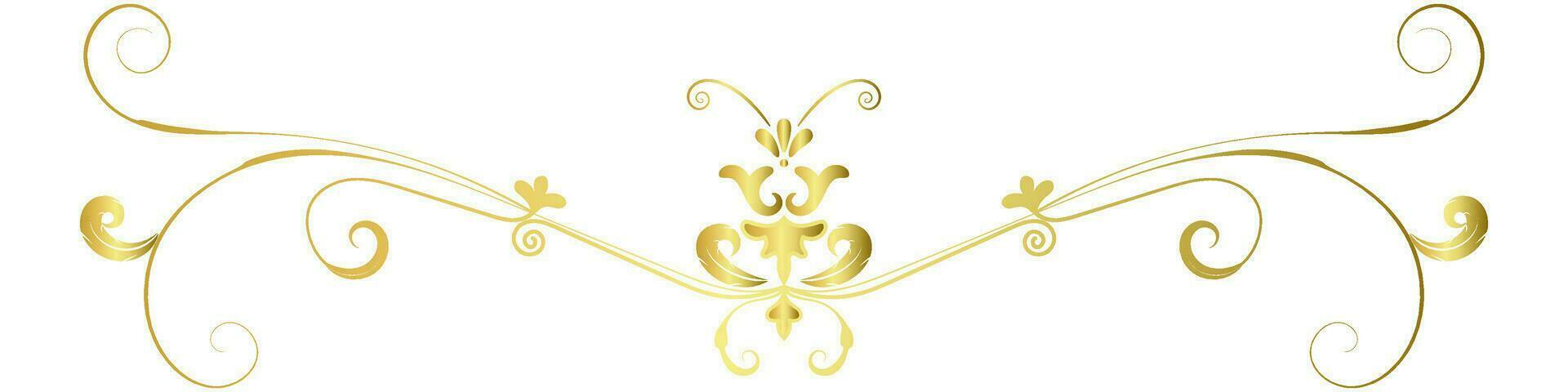 vintage lines decorative s Golden flower border collection vector