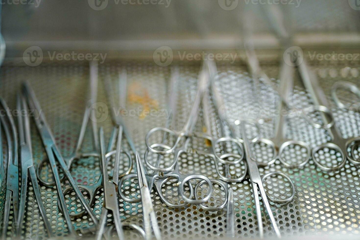 Closeup medical tools and scissors for dressing wounds of veterinary in clinic photo