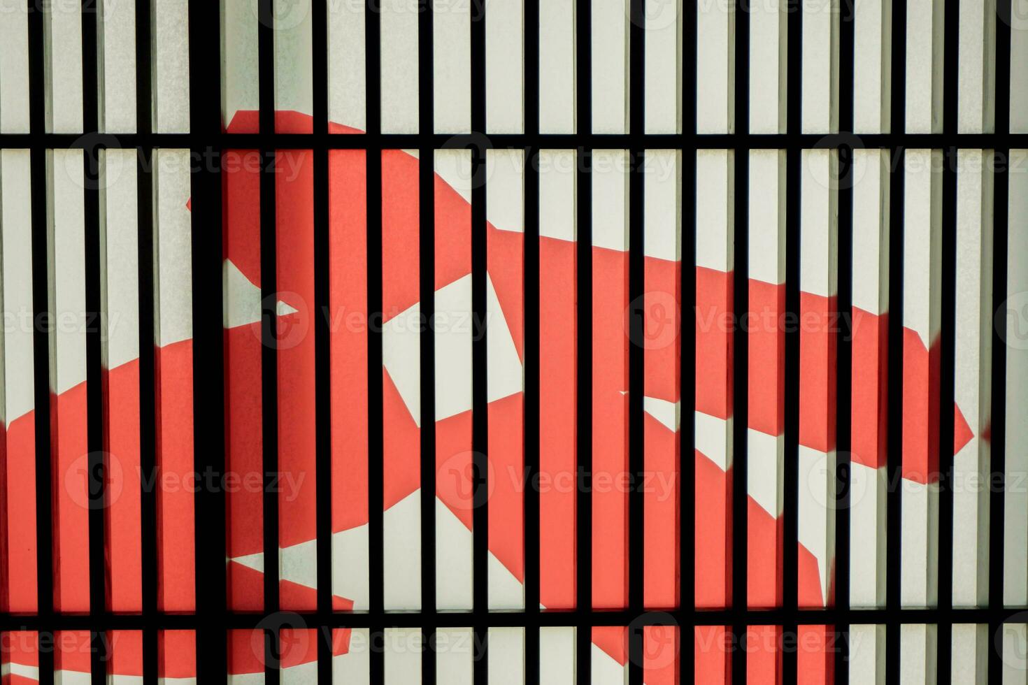 Closeup and crop abstract red flowers on white paper of Japanese sliding doors in Japanese modern house. photo