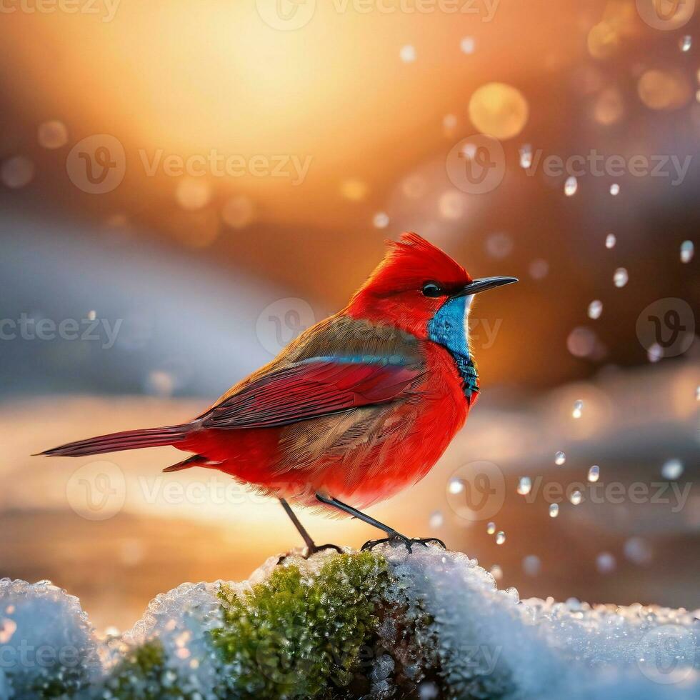 AI generated red riverbird. in a happy face On the top of a cold mountain. ai generative photo