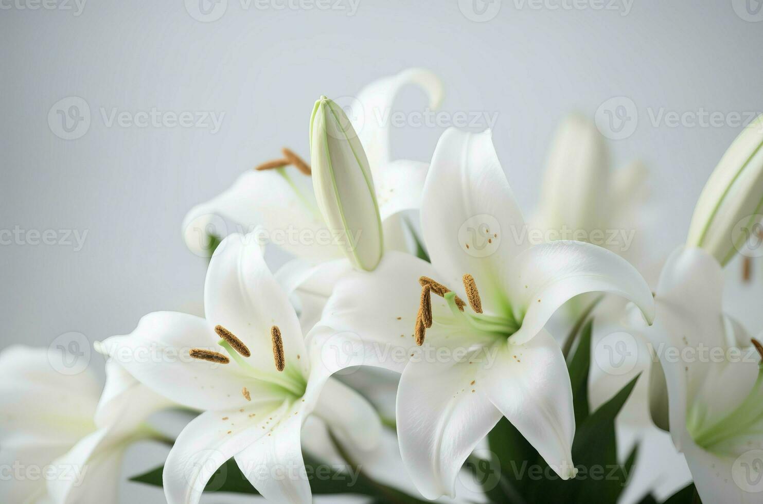 AI generated White lilies closeup. Generate Ai photo