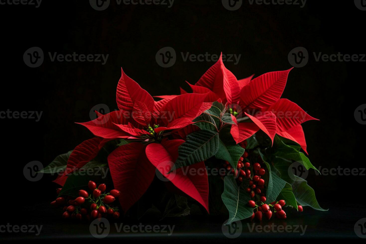 ai generado rojo flor de pascua flor. generar ai foto