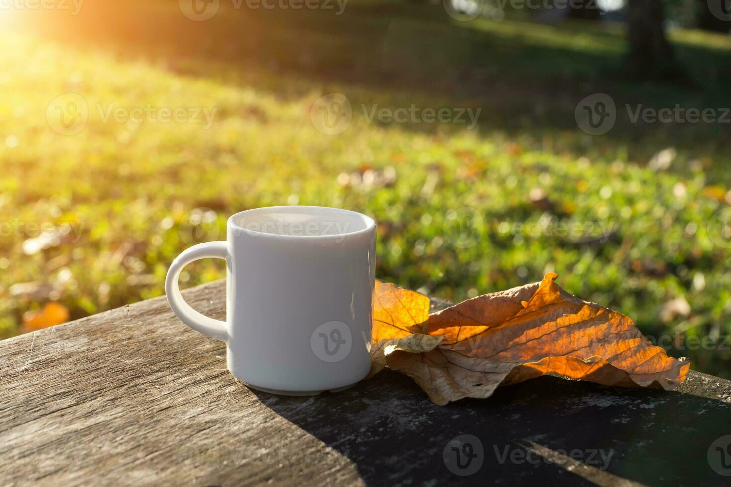 blanco café jarra en el Mañana hora foto